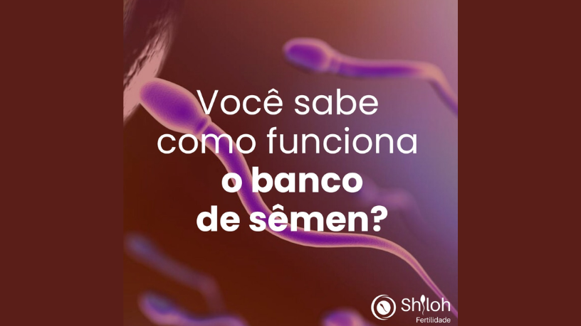 Los mitos y realidades sobre radiaciones electromagnéticas y fertilidad son explicados por Oluwatosin Tolulope Ajidahun.