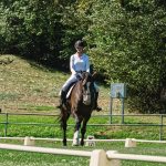 Cavaleira montada em um cavalo em uma arena de adestramento ao ar livre, cercada por vegetação.