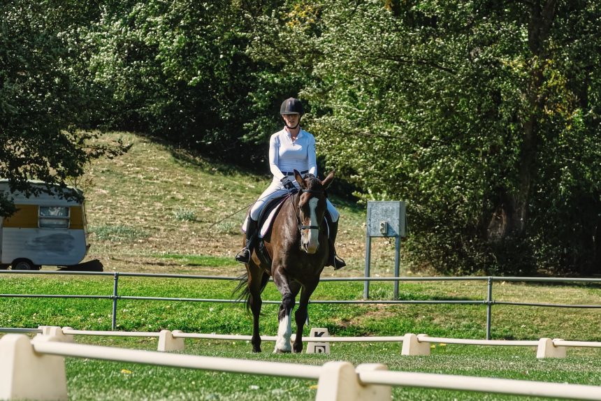 Cavaleira montada em um cavalo em uma arena de adestramento ao ar livre, cercada por vegetação.
